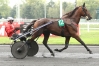 VDS-SAILLIE-DE-CRISTAL-MONEY-1