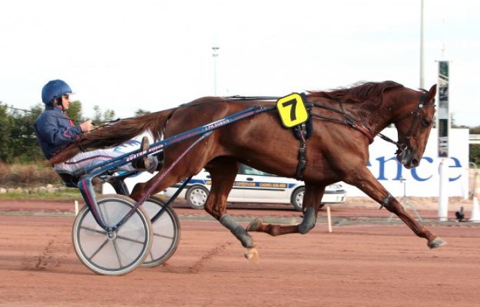 VDS-PART-DE-ROYAL-DREAM-1