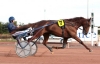 VDS-PART-DE-ROYAL-DREAM-1