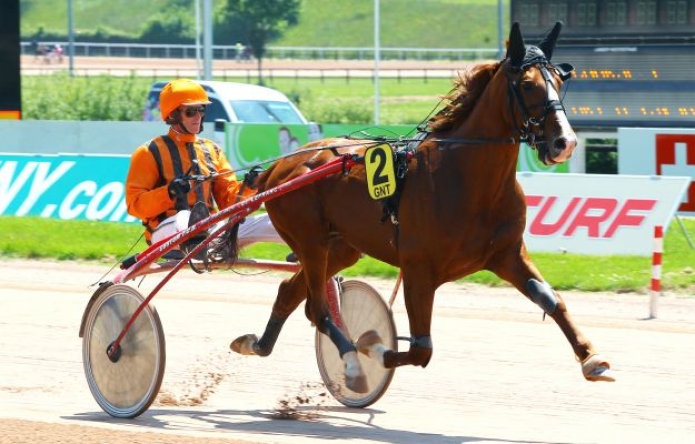 Saillie-contre-50--prime-eleveur--0