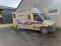 Camion-chevaux-2