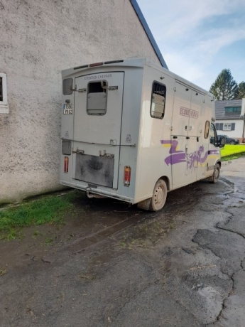 Camion-chevaux-1
