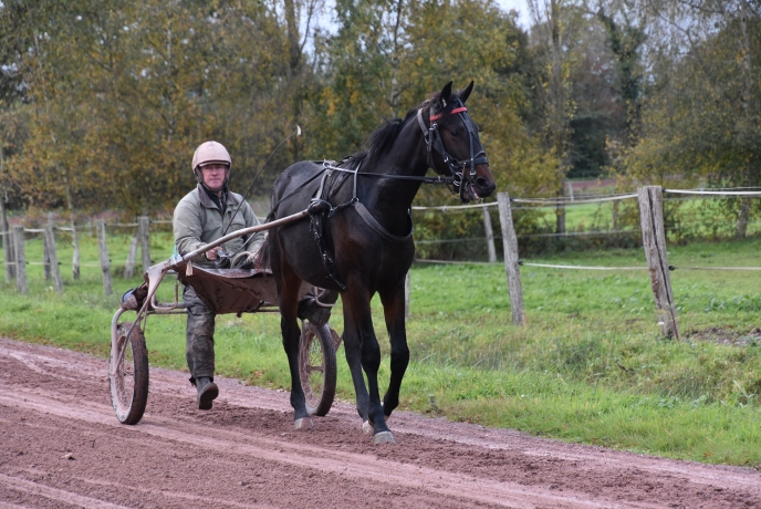 Opportunite-rare--part-d---un-fils-de-Booster-Winner--2