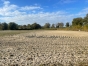 Proposition-de-partenariat-Association-1