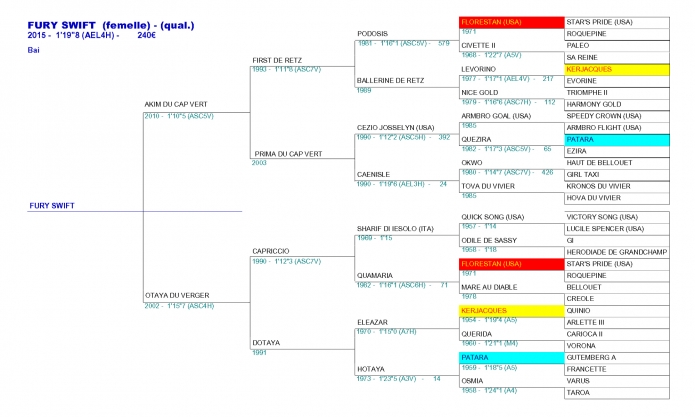 Pouliniere-(-F-)-Fury-Swift-par-Akim-du-Cap-Vert-0