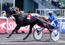 Propose-saillie-pour-arrangement-et-foal-sharing-2