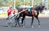 Propose-saillie-pour-arrangement-et-foal-sharing-1