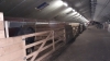 Pension-centre-de-soins-et-sante-Equine-2