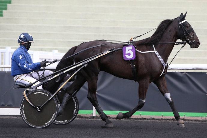 VDS-SAILLIE-DE-INVINCIBLE-CASH-0