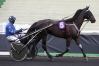 VDS-SAILLIE-DE-INVINCIBLE-CASH-0