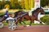 GOLD-FLY--105-080-euro;-de-gains--0