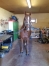 Magnifique-trotteur-1