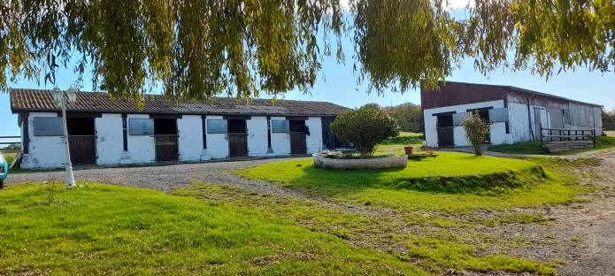 Belle-structure-sur-18ha-proche-Lisieux-1
