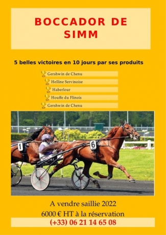 BOCCADOR-DE-SIMM-0
