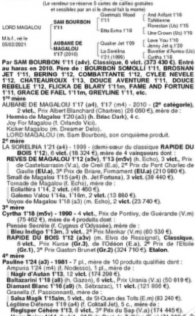 Vends-L-par-Sam-Bourbon-et-Aubane-de-Magalou