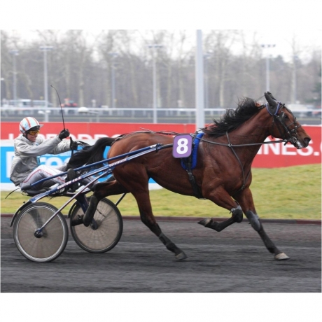 SAXO-DE-VANDEL-0
