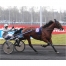 SAXO-DE-VANDEL-0