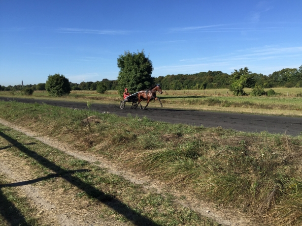 Centre-d---entrainement-CHAMANT-(60)-15-20-boxes-a-louer-1
