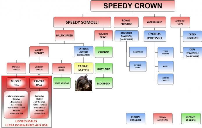 Le-dernier-descendant-direct-du-champion-Americain-SPEEDY-SOMOLLI-en-France--0