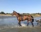 Thalassotherapie---Remise-en-forme-1