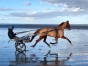 Thalassotherapie---Remise-en-forme-0