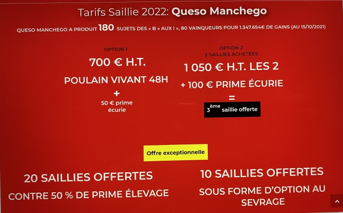 Queso-Manchego--gratuites-0