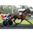 Ouragan-de-Celland-part-ou-saillie-0