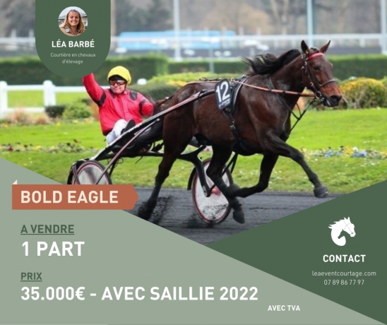 PART-DE-BOLD-EAGLE