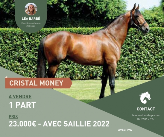 PART-CRISTAL-MONEY-0
