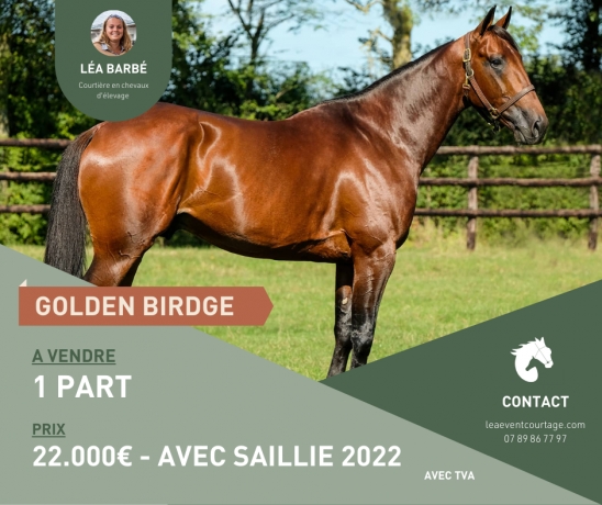 PART-GOLDEN-BRIDGE