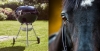 JEU-CONCOURS-GRATUIT--Prix-d---Amerique--Gagnez-un-BBQ-Weber--0