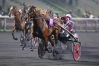 Recherche-part-de-HOHNECK-avec-ou-sans-saillie-2022-0