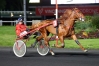 Saillies-DIABLO-DU-NOYER-et-EROS-DU-CHENE-0