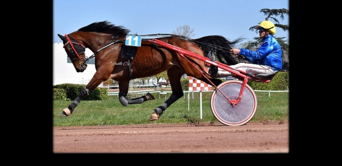 20--de-elite-du-dollar-1