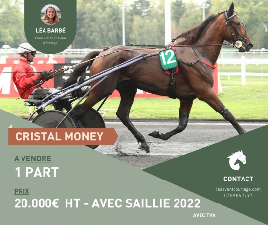 PART-CRISTAL-MONEY-AVEC-SAILLIE-2022
