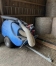 Aspirateur-a-crottins-0
