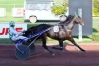 SAILLIE-FREE-MAN---GU-D-quot;HERIPRE--FALCAO-DE-LAURMA-1