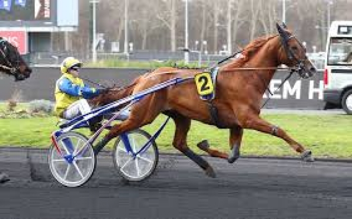SAILLIE-FREE-MAN---GU-D-quot;HERIPRE--FALCAO-DE-LAURMA-0