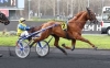 SAILLIE-FREE-MAN---GU-D-quot;HERIPRE--FALCAO-DE-LAURMA-0