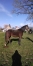 Loue-K-beau-papier-et-beau-potentiel----1