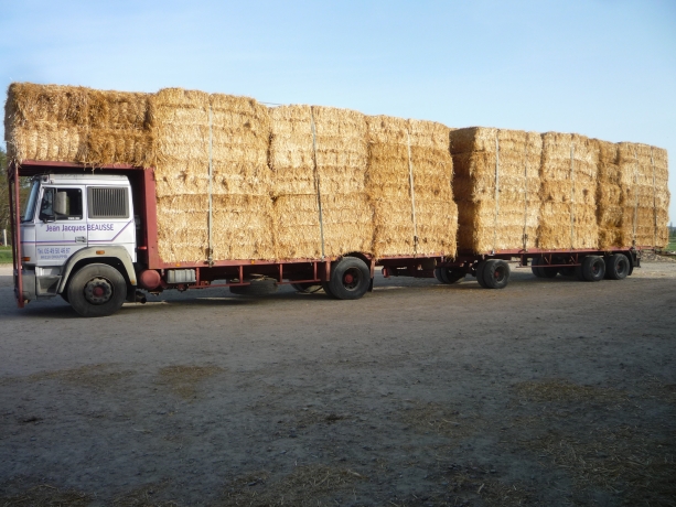 VENTE-DE-PAILLE-LONGUE-DE-BLE--BONNE-QUALITE