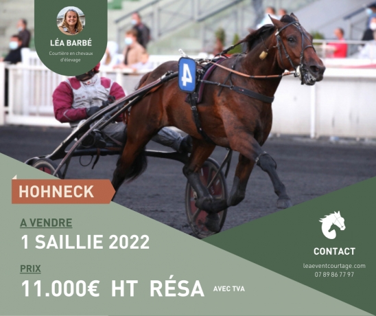 SAILLIE-HOHNECK-0
