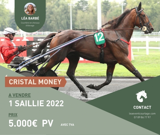 SAILLIE-CRISTAL-MONEY-0