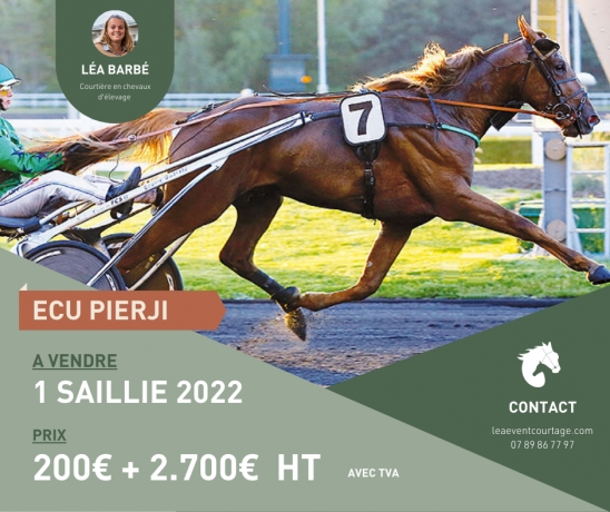 SAILLIE-ECU-PIERJI-0