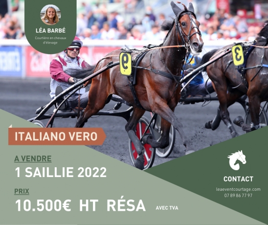 Saillie-DE-ITALIANO-VERO-0