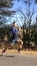 H-26ans-Lad-Jockey-Driver-(regions-sud)-0