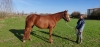 Pouliniere-LOVE-YOU--10-ans-1