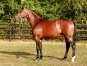 Pouliniere-UNEFLORE-2-2-produits-qualifies-1