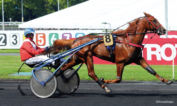 Saillie-ou-part-de-EROS-DU-CHENE-0