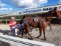 Vends-Cimarron-1---12------5-0